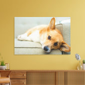 Toile Cutest Baby Animals | Corgi Puppy on Couch (Insitu(Salon))