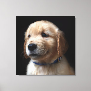 Toile Cutest Baby Animals Golden Retriever Puppy
