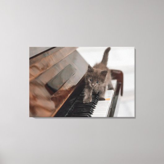 Toile Cutest Baby Animals | Kitten on Piano (Recto)