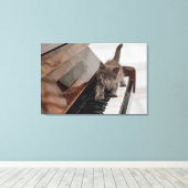 Toile Cutest Baby Animals | Kitten on Piano (Insitu (Plancher de Bois))