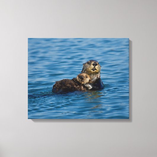 Toile Cutest Baby Animals | Mother & Baby Sea Otter (Recto)