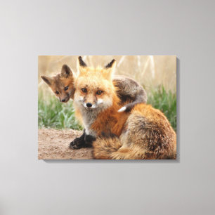 Toile Cutest Baby Animals Red Fox & Baby