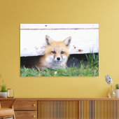 Toile Cutest Baby Animals | Red Fox Kit Peeking (Insitu(Salon))