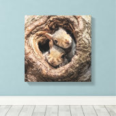 Toile Cutest Baby Animals | Two Young Squirrels (Insitu (Plancher de Bois))