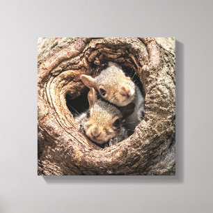 Toile Cutest Baby Animals   Two Young Squirrels