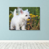 Toile Cutest Baby Animals | West Highland White Terrier (Insitu (Plancher de Bois))