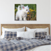 Toile Cutest Baby Animals | West Highland White Terrier (Insitu(Chambre))