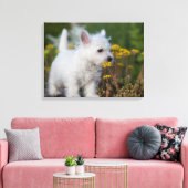 Toile Cutest Baby Animals | West Highland White Terrier (Insitu(Salon))