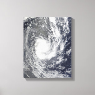 Toile Cyclone tropical Pat