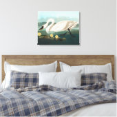 Toile cygne audubon cygnes d'eau blanche (Insitu(Chambre))