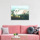 Toile cygne audubon cygnes d'eau blanche (Insitu(Salon))