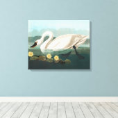Toile cygne audubon cygnes d'eau blanche (Insitu (Plancher de Bois))