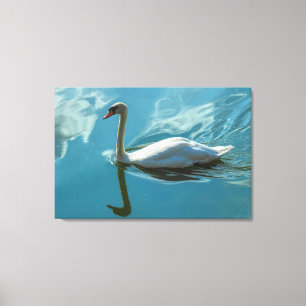 Toile Cygne avec reflets nuageux