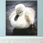 Toile Cygne bébé | Cygnet (Insitu (Plancher de Bois))