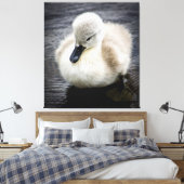 Toile Cygne bébé | Cygnet (Insitu(Chambre))