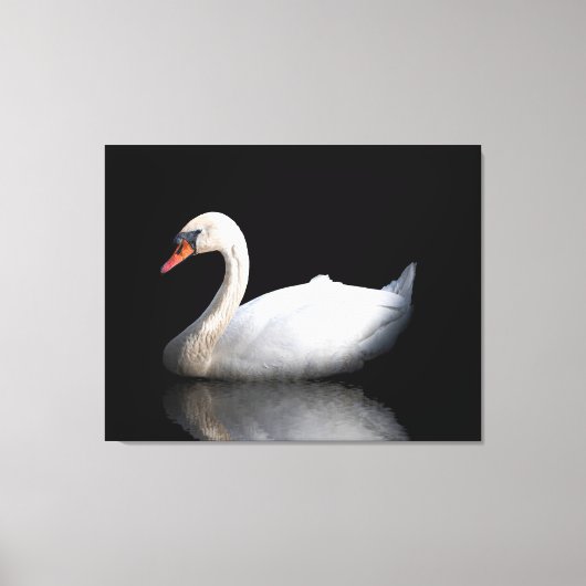 Toile Cygne blanc sur noir (Recto)