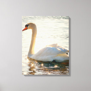 Toile Cygne Blanc Sur Un Lac