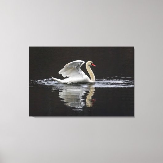 Toile Cygne et réflexions (Recto)