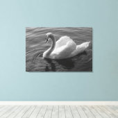 Toile Cygne. Roath Park Lake, Cardiff, Wales B&W (Insitu (Plancher de Bois))