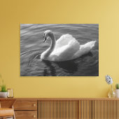 Toile Cygne. Roath Park Lake, Cardiff, Wales B&W (Insitu(Salon))