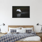 Toile Cygne trompette (Insitu(Chambre))