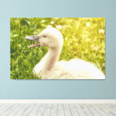 Toile Cygnet de cygne muet (Insitu (Plancher de Bois))