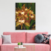 Toile Cymbidium tryanum (Insitu(Salon))