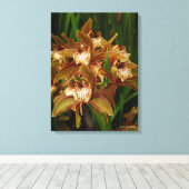 Toile Cymbidium tryanum (Insitu (Plancher de Bois))