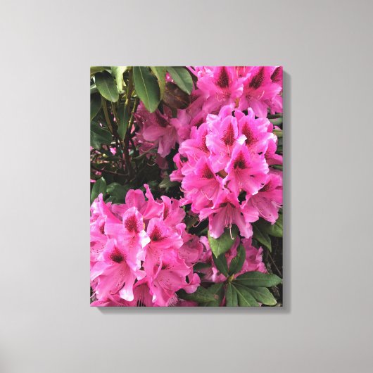 Toile Cynthia Rhododendrons, Oregon (Recto)