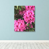 Toile Cynthia Rhododendrons, Oregon (Insitu (Plancher de Bois))