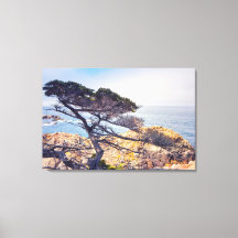 Cyprès au bord de la mer