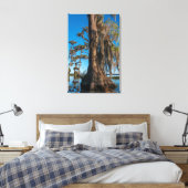 Toile Cyprès de Pond dans un marais (Insitu(Chambre))