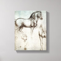 Da Vinci Horse Study Renaissance Sketch Art