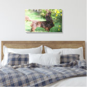 Toile Dachshund miniature à cheveux longs 1 (Insitu(Chambre))