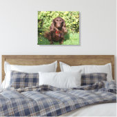Toile Dachshund miniature Brown aux cheveux longs (Insitu(Chambre))
