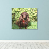 Toile Dachshund miniature Brown aux cheveux longs (Insitu (Plancher de Bois))