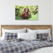 Toile Dachshund miniature Brown aux cheveux longs (Insitu(Chambre))