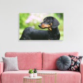 Toile Dachshund noir et tean Miniture 2 (Insitu(Salon))