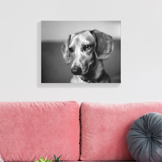 Toile Dachshund sensible (Insitu(Salon))