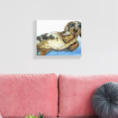 Toile Dachshund Tummy (Insitu(Salon))