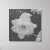 Toile Daffodile sauvage (Recto)