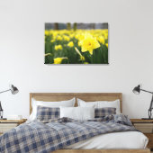 Toile Daffodiles (RF) (Insitu(Chambre))