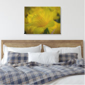 Toile Daffodiques en gros plan (Insitu(Chambre))