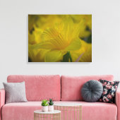 Toile Daffodiques en gros plan (Insitu(Salon))