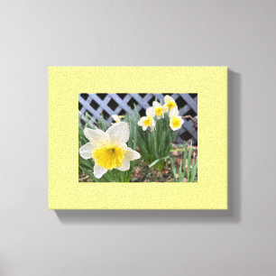 Toile Daffodiques jaunes