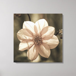 Toile Dahlia ensoleillé