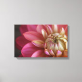 Toile Dahlia rose (Recto)