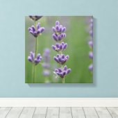 Toile Dainty Lavender (Insitu (Plancher de Bois))