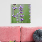 Toile Dainty Lavender (Insitu(Salon))