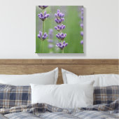 Toile Dainty Lavender (Insitu(Chambre))